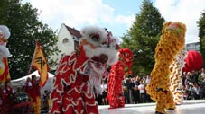 6 lions group